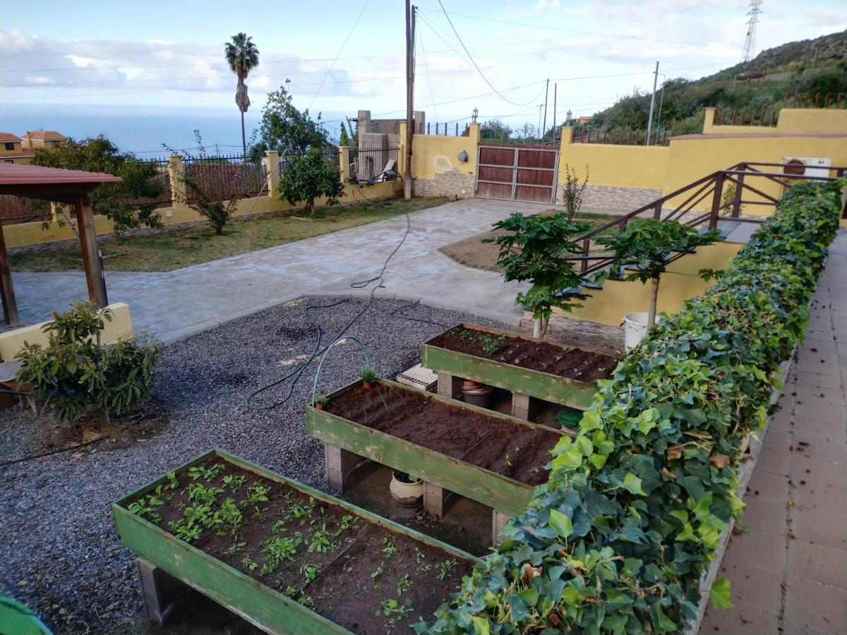 Apartamento La Costa Santa Cruz de Tenerife Exterior foto